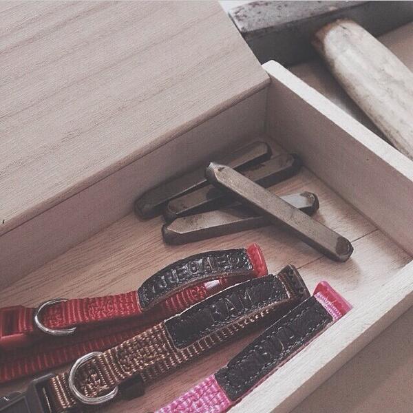 Welcome home babe. (-; @.clumsypegae <a href="/bbambua/">Bambie Buaban</a> 
(IG: bbinko) #ไอ้นิกบอทปากหมา