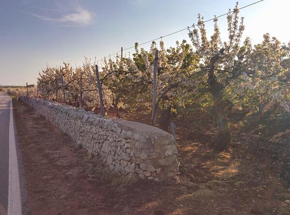 ColamonicoA's tweet image. 