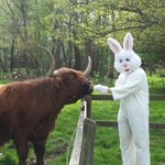 Photo by Botleigh Grange (@BotleighGrange)