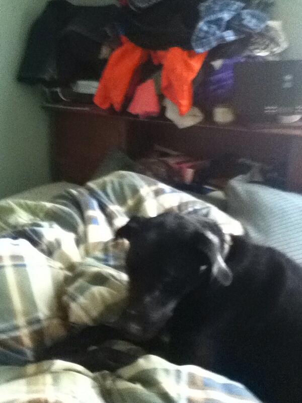 Bdawg2004's tweet photo. My dog with Kira http://t.co/AJ693xhRGc