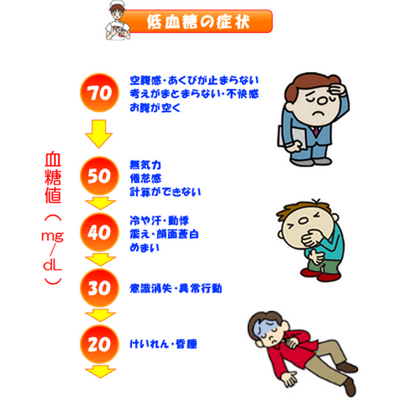 ゴロ 解剖生理イラスト Ar Twitter 低血糖の症状 Http T Co Vljopilxhh Twitter