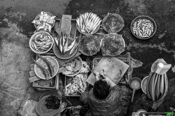 caasar's tweet image. 부산 수산물 거리...daewg.blog.me/120211627218