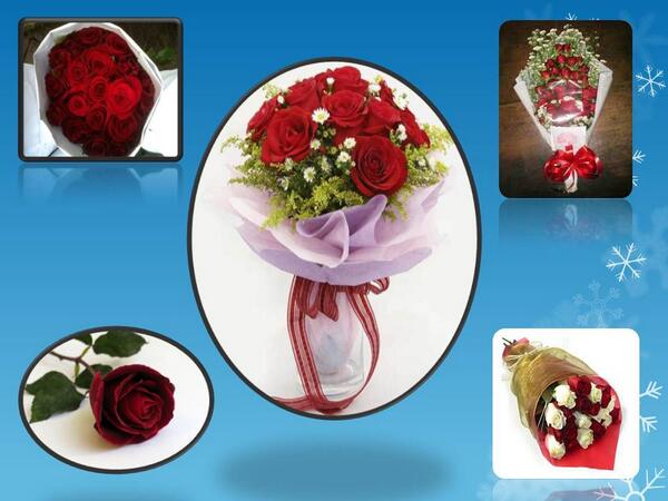 info_DURI's tweet photo. "Buket Mawar Segar"

utk sahabat, pacar, ortu, ataaau mantan ;)

order @bunga_SEGARKU 

081378287722
BBM 75047A9C 

http://t.co/3LYVdwYLhU