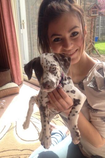 This is Eve 💕💕💕🐶 http://t.co/hslfnohM4w<a href="/tag/bts"class="tags"><span>#bts</span></a>