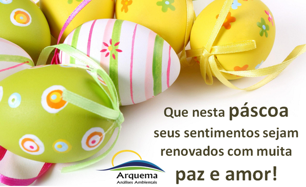 Arquema tweet picture
