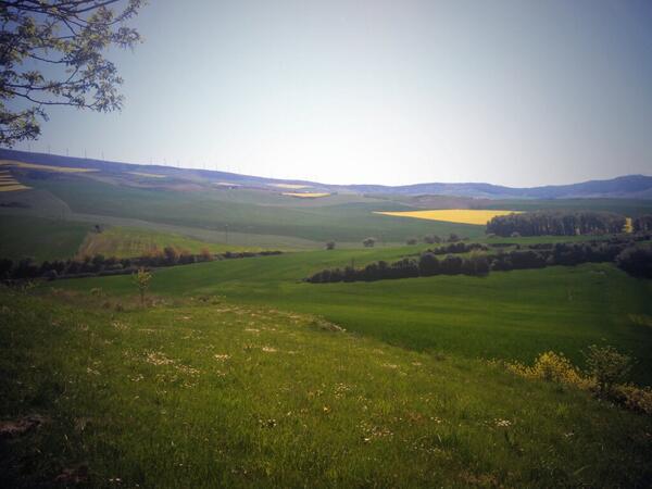 Pau__pauli's tweet image. Aquí buenos paseicos con @Go96Laura y @IraEcheverria