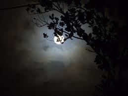 P3K_bdg's tweet photo. Sebuah lagu dari mami elvy... #bulan di ranting cemara :) dijaket aa... http://t.co/2Dtm1kYx6R