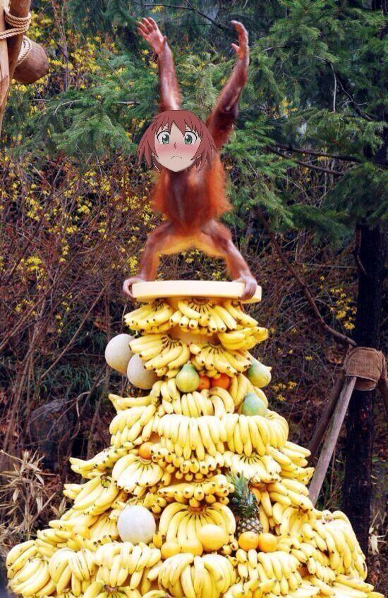 DatingSims's tweet image. @OwlDolly #DailyDaily