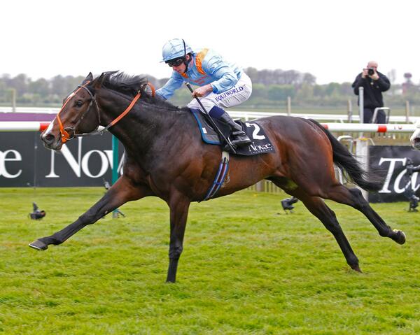 NewmarketRace's tweet photo. Toormore winning the Craven Stakes. Can he now go on and achieve #GuineasGlory? http://t.co/ekeCJ1WKNB