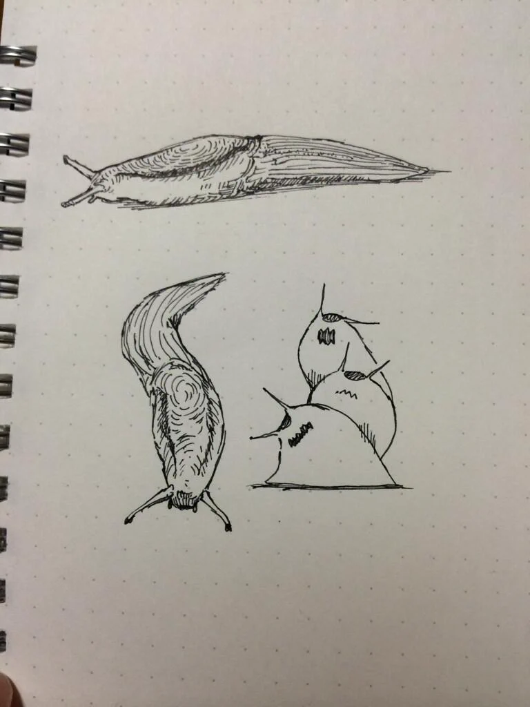 ナメクジ　ペン画 人造タケノコ on X: 