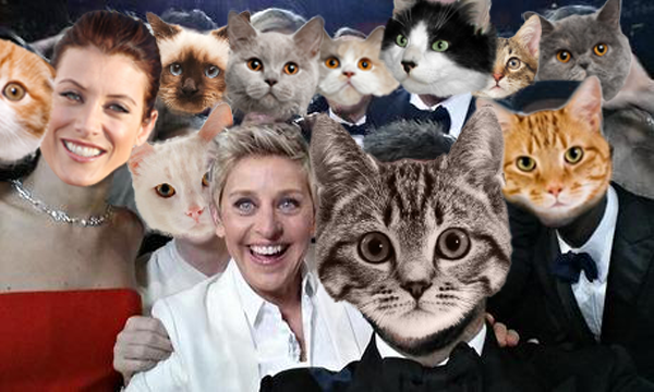 katewalsh's tweet photo. Thanks to all my new followers! In @TheEllenShow fashion, I wanted to share a selfie with all my famous friends. http://t.co/UAiyuHvff8