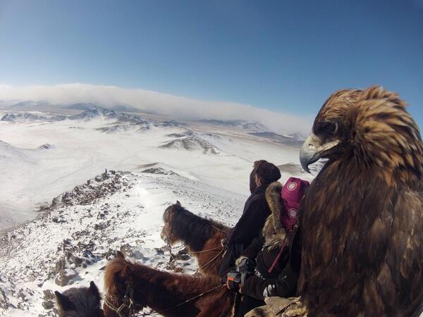 Photo of the Day! <a href="/eaglefalconer/">Lauren McGough</a> Lauren McGough hunts with her golden eagle in Mongolia. #GoPro #Adventure