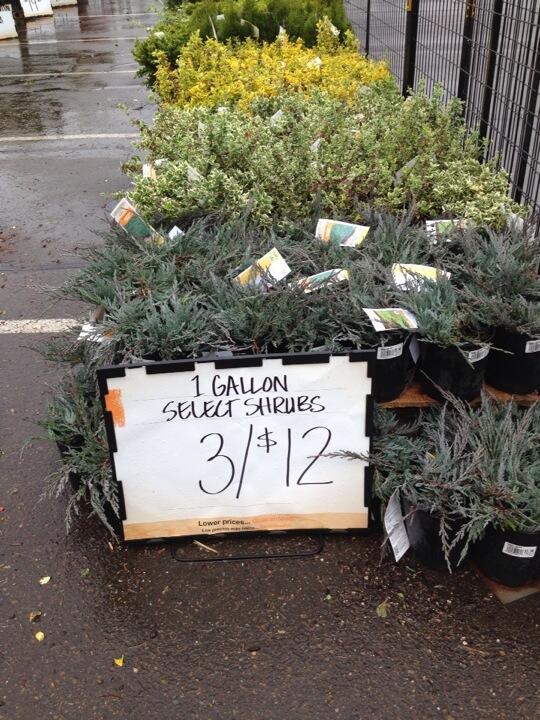 1G Select Shrubs now 3 for $12 at all WA, OR, ID, UT, CO, MT, and WY Home Depot stores. Selection varies by market