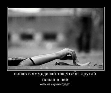 TrueFun69's tweet image. Вот это прикол )