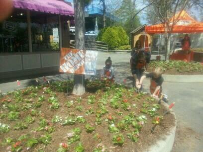 Thd3607Kannapolis tweet media