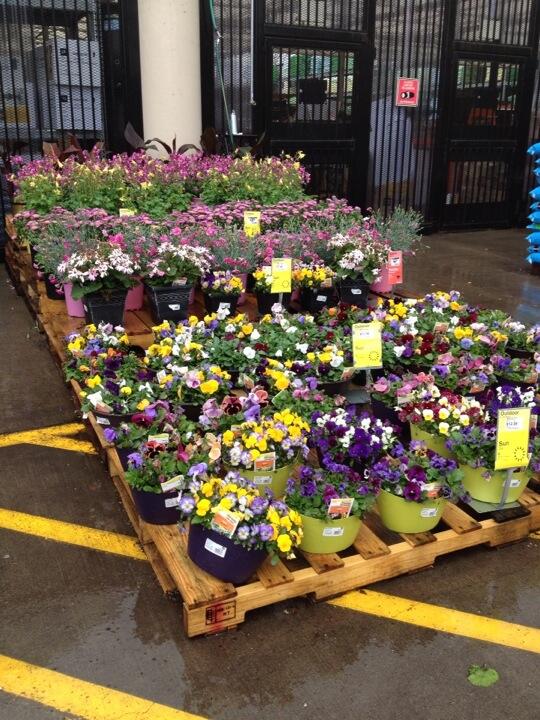 Add instant color to your Deck, Patio, or Porch with Home Depots great selection of Containers. Now available.