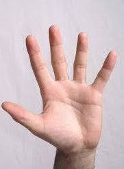 Five Crucial Competencies of Self-Management...new blog post is up! bit.ly/QhElCP