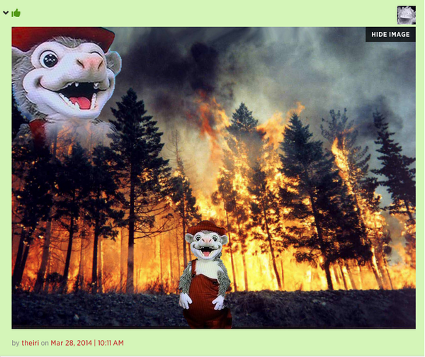 Comment Reader tweet media