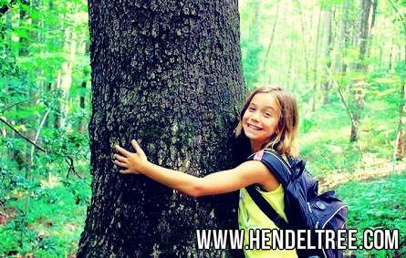 HendelsTreeService tweet media