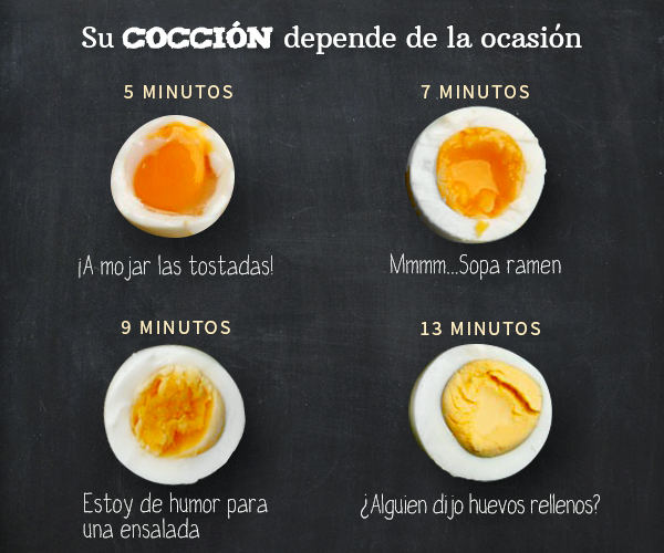 vivemejor tweet picture