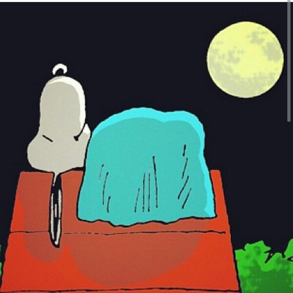 Beautiful Beds tweet media