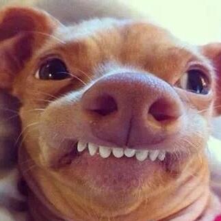 SamanthaGlandy's tweet image. When you get a favourite or retweet✋