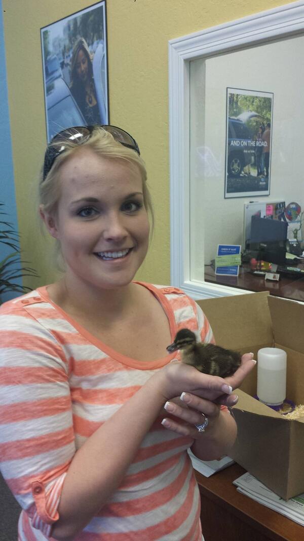 Mike Robertson tweet media