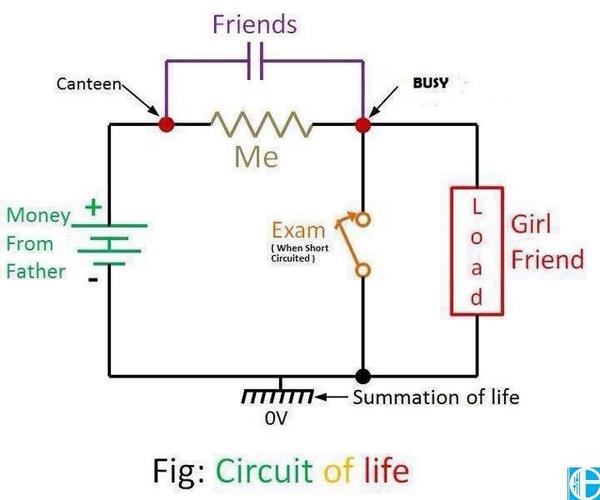 IntEngineering's tweet photo. Circuit of life http://t.co/kbl9Uud6RY