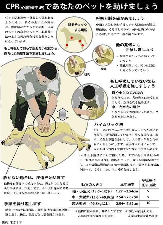 nankyokuguma's tweet photo. 犬猫の、非常時の心肺蘇生方法。フェイスブックのDogLoversというページで流れてきたので、和訳しました。
配布自由です。 #wanko #cat http://t.co/OzACXbYH09
