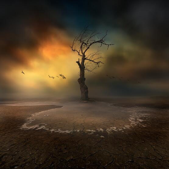 DarkHaikuMoon's tweet image. arms reach out
like my heart
toward heaven
#haiku Image: Lonely by Bax (Piotr Krol) smashingwall.com/photography/na…