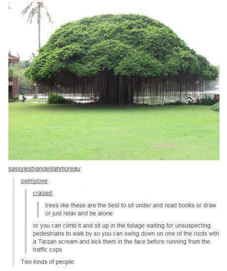 TumblrEdited's tweet photo. http://t.co/I4HEXkXgXp