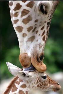 procimilmi's tweet photo. Самый тонкий #юмор - плоский. http://t.co/jKMXHFlCak
