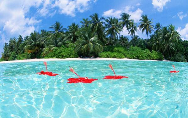 _Paisajes_'s tweet photo. Maldivas. Un paraíso tropical en la tierra http://t.co/iXdXmoELPL