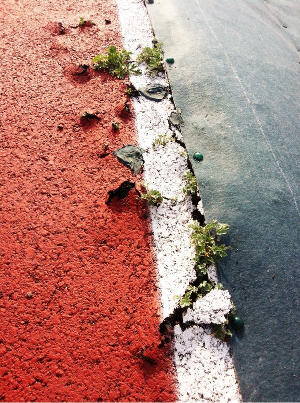 이게 뭔가 하고 봤더니~