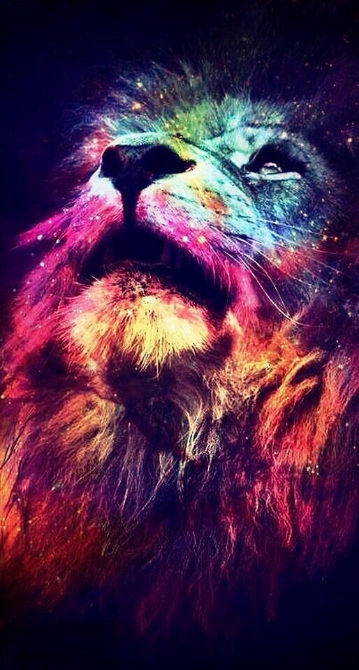 ColorfulFun's tweet image. This lion is awesome. :)