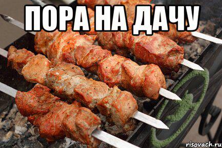 На шашлыки картинки прикольные с надписями