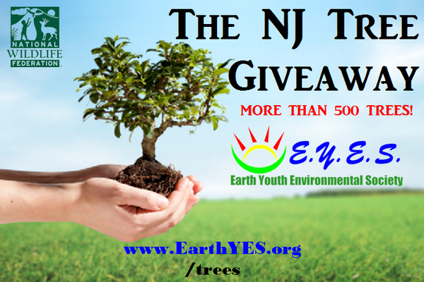 EEnvironment's tweet image. Live in NJ? Get up to 3 FREE trees this Sunday at Edison High School! EarthYES.org/trees