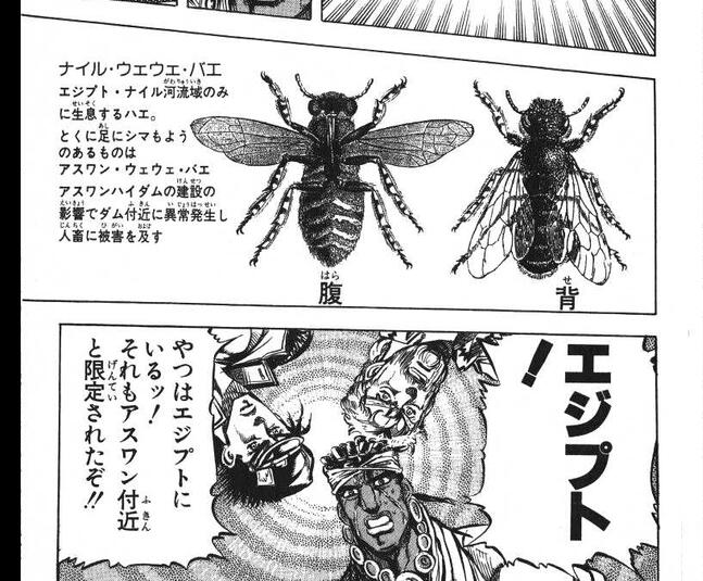 Uzivatel たごーる Na Twitteru アニメでナイル ウェウェ バエに改変された ってみんな言ってますが あのハエの説明って原作通りですからね Jojo Anime Tokyomx Http T Co 7wzyz84dj2 Twitter