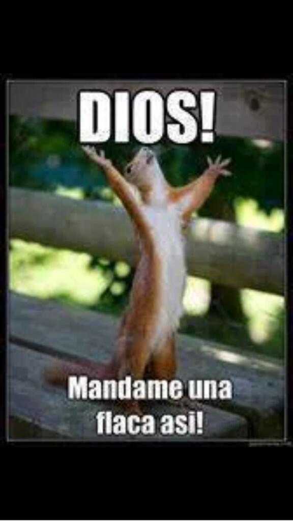 Grenas79's tweet image. Please hahahahaha