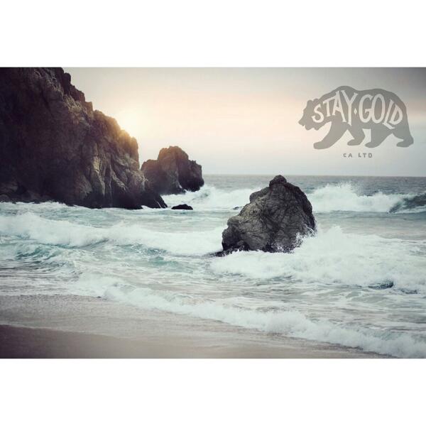 California Limited tweet media