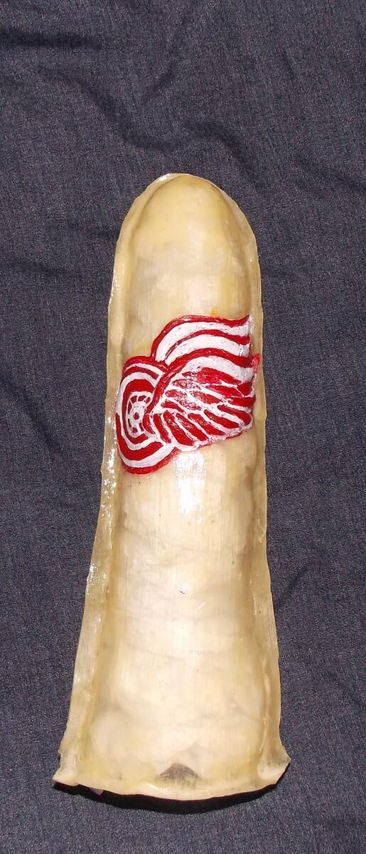 manouite's tweet image. Condom 3D Red Wings @DetroitRedWings