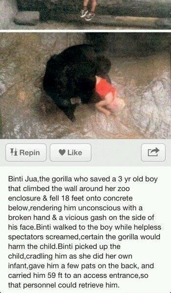wordarchive's tweet photo. #respect: http://t.co/SGOZF6GHxk