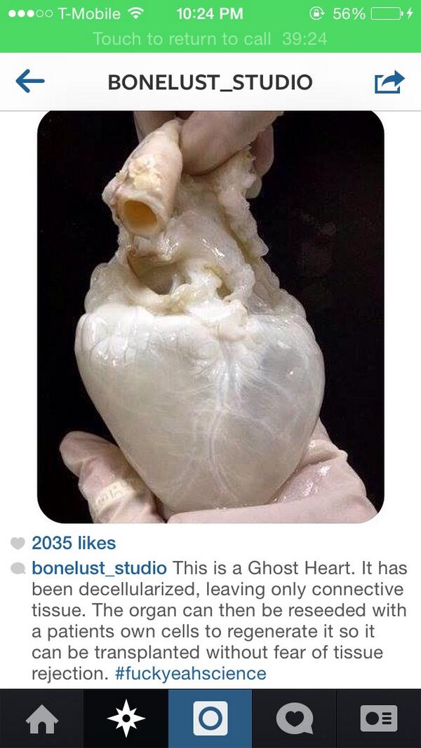 ellexsabrina's tweet image. #fuckyeahscience