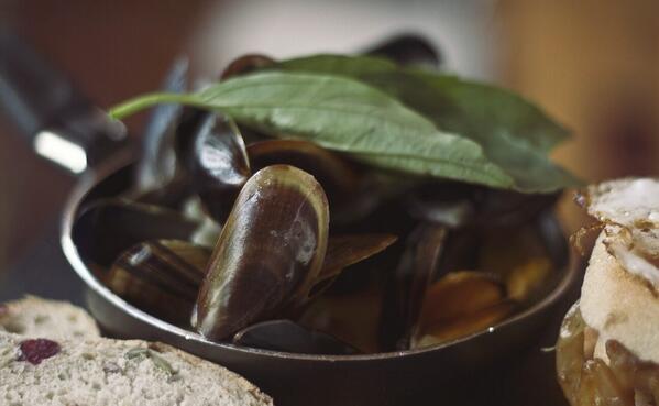 studio2bar's tweet image. Classic French Mussels in Garlic Brandy Butter &amp;amp; Double Cream - £5