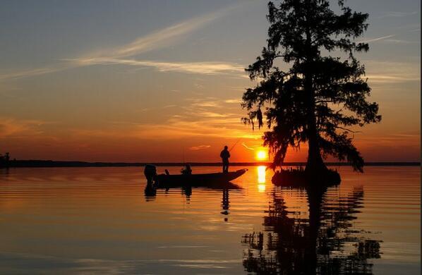 Deerhuntingprob's tweet image. RT if you wish you were there.