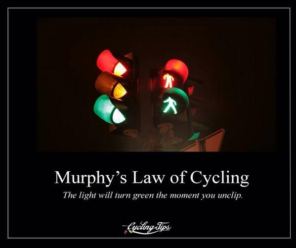 Bicycle Outfitters tweet media