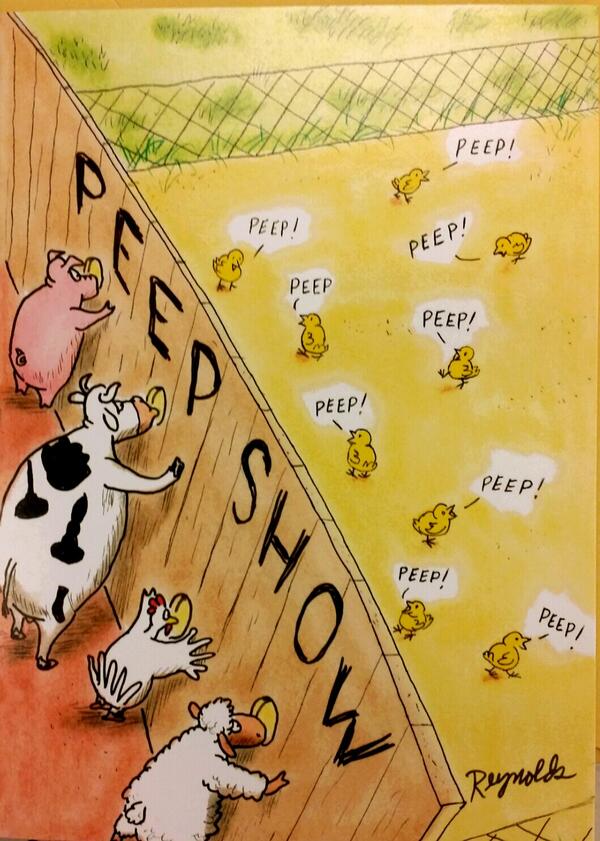 khaleesi_1's tweet image. Peep Show
#EasterFilms 🐰🐤🐰🐤
#Peeps
;)
#TheHashTagGame