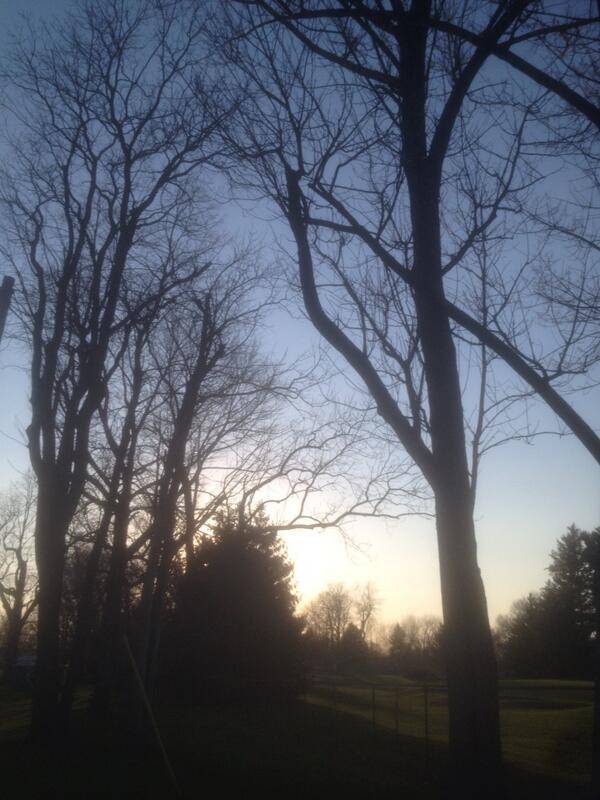 mhendrix77's tweet photo. Beautiful evening for a jog through the park... http://t.co/n46DbSIrFa