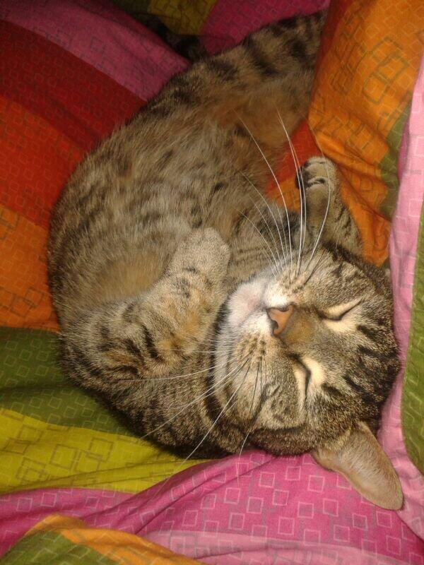 Pippedijn's tweet photo. Mogguhhhhhhh http://t.co/2dhnEj9q5n