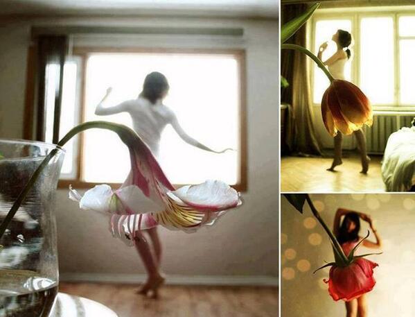 TheMindBlowing's tweet image. Nice photography illusions: